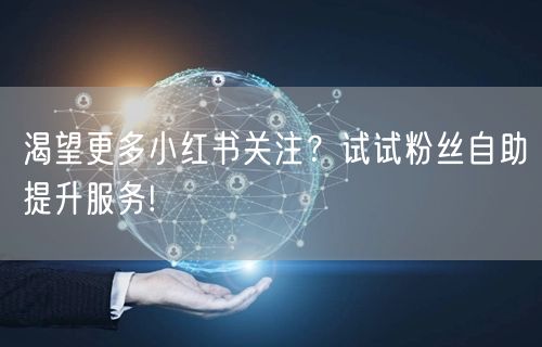 渴望更多小红书关注？试试粉丝自助提升服务!
