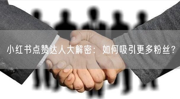小红书点赞达人大解密：如何吸引更多粉丝？