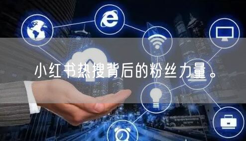 小红书热搜背后的粉丝力量。