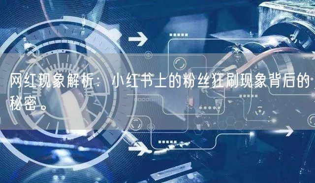 网红现象解析：小红书上的粉丝狂刷现象背后的秘密。