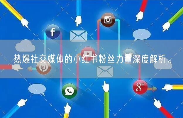 热爆社交媒体的小红书粉丝力量深度解析。