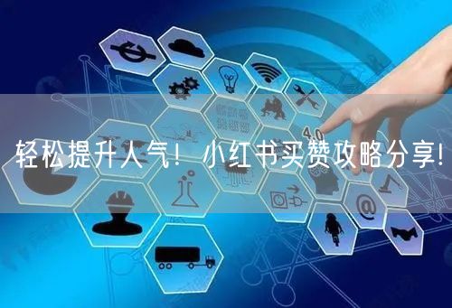 轻松提升人气！小红书买赞攻略分享!