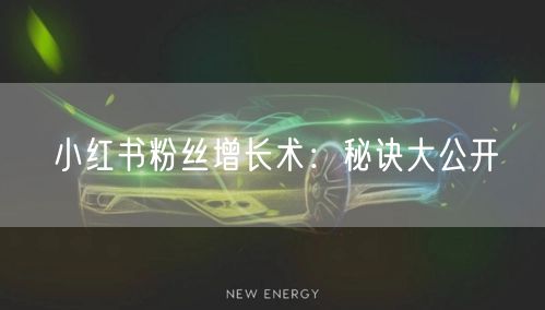 小红书粉丝增长术：秘诀大公开