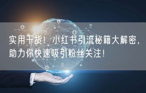 实用干货！小红书引流秘籍大解密，助力你快速吸引粉丝关注！