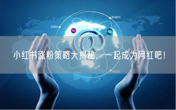 小红书涨粉策略大揭秘，一起成为网红吧！