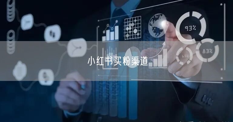 小红书买粉渠道