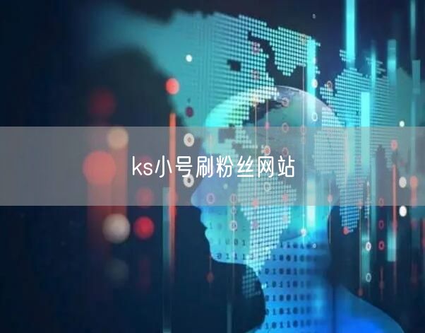 ks小号刷粉丝网站