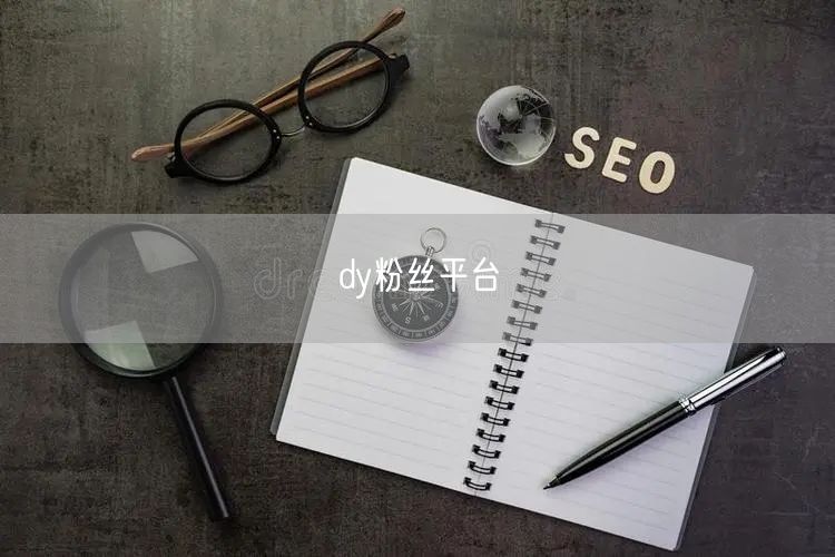 dy粉丝平台