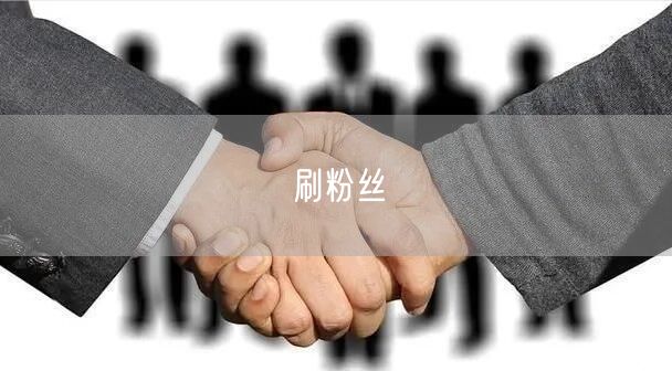 刷粉丝