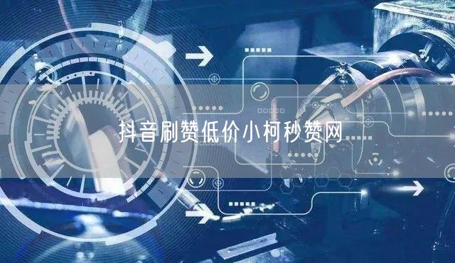 抖音刷赞低价小柯秒赞网