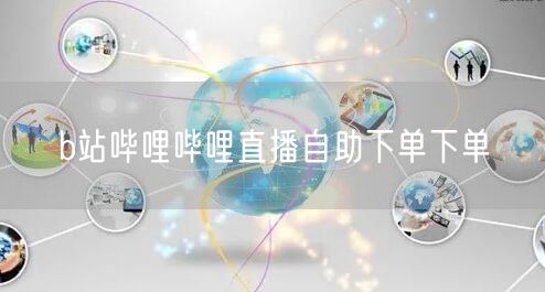 b站哔哩哔哩直播自助下单下单