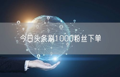今日头条刷1000粉丝下单