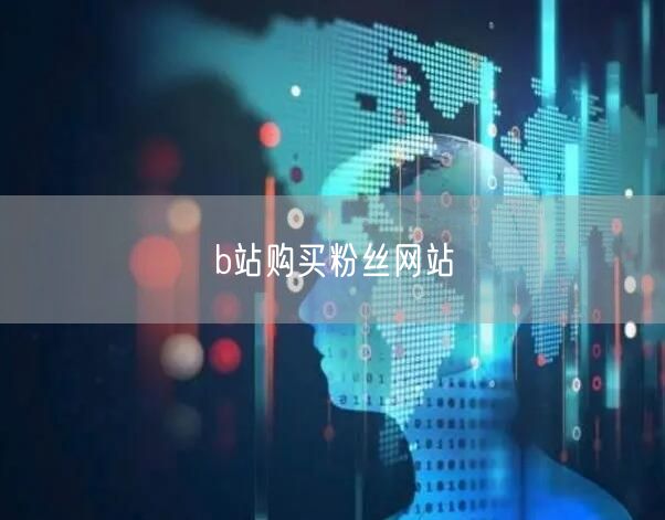 b站购买粉丝网站