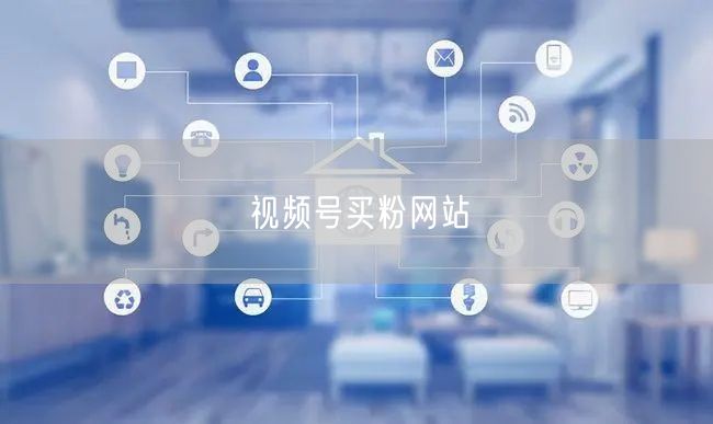 视频号买粉网站