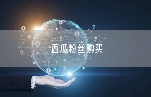 西瓜粉丝购买