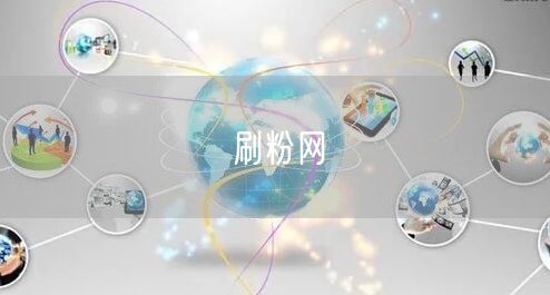 刷粉网