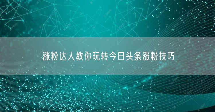 涨粉达人教你玩转今日头条涨粉技巧