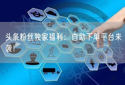 头条粉丝独家福利：自助下单平台来袭！