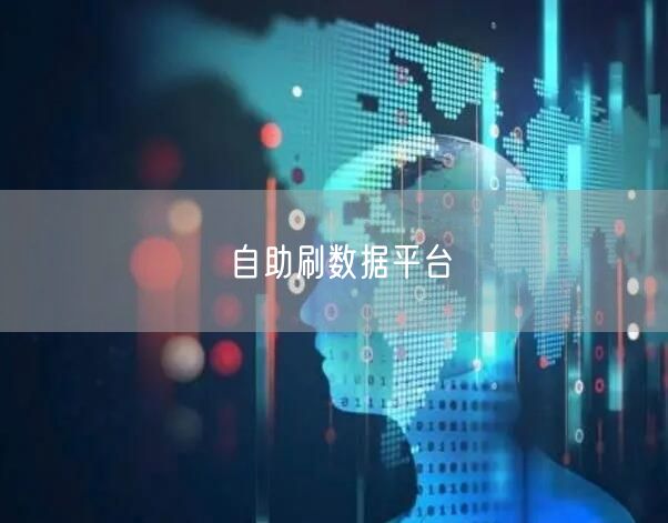 自助刷数据平台