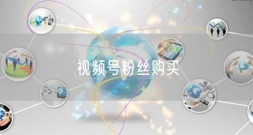 视频号粉丝购买