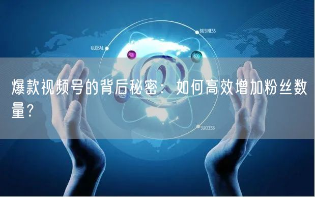 爆款视频号的背后秘密：如何高效增加粉丝数量？