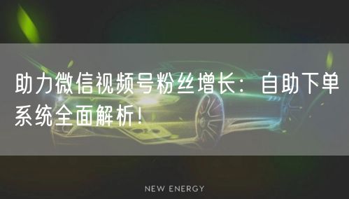 助力微信视频号粉丝增长：自助下单系统全面解析！