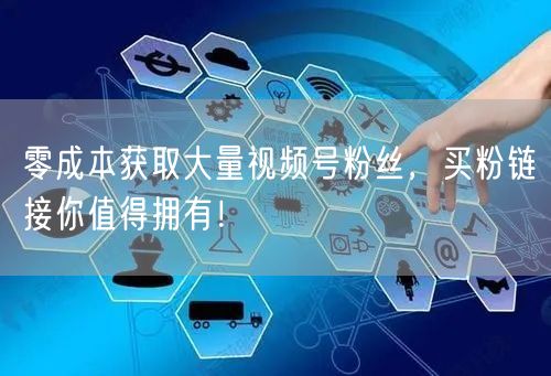 零成本获取大量视频号粉丝，买粉链接你值得拥有！