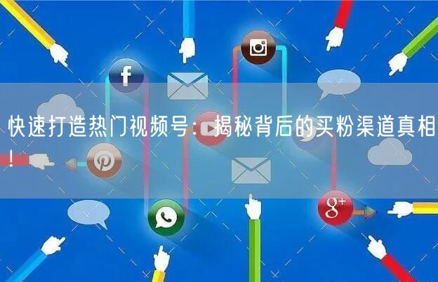 快速打造热门视频号：揭秘背后的买粉渠道真相！