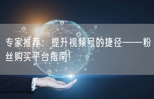 专家推荐：提升视频号的捷径——粉丝购买平台指南！