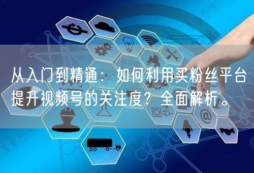 从入门到精通：如何利用买粉丝平台提升视频号的关注度？全面解析。