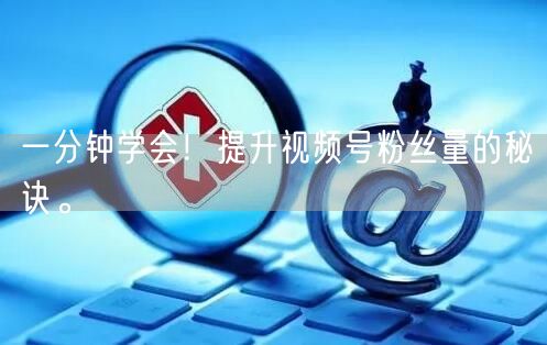 一分钟学会！提升视频号粉丝量的秘诀。