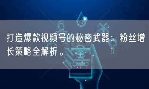 打造爆款视频号的秘密武器：粉丝增长策略全解析。