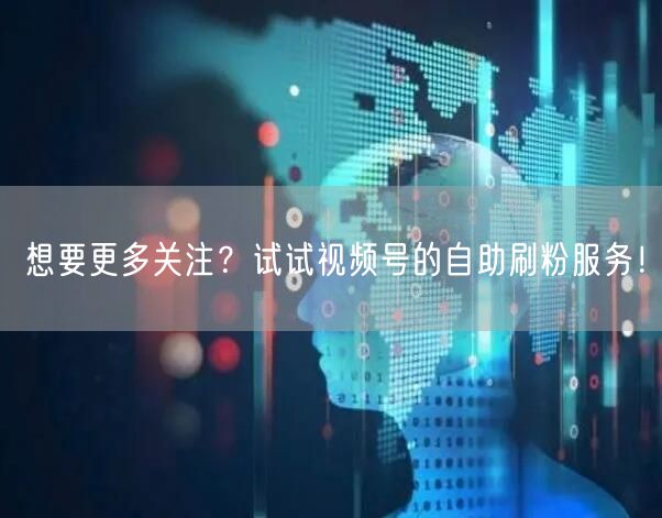 想要更多关注？试试视频号的自助刷粉服务！