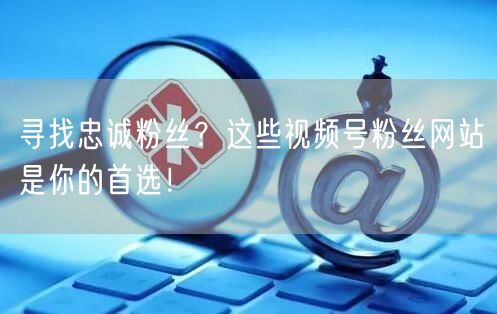 寻找忠诚粉丝？这些视频号粉丝网站是你的首选！
