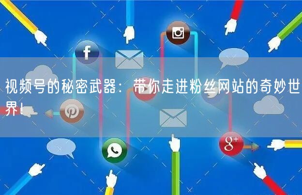 视频号的秘密武器：带你走进粉丝网站的奇妙世界！