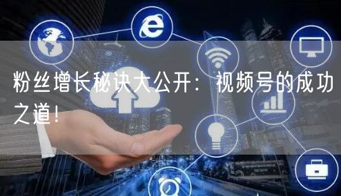 粉丝增长秘诀大公开：视频号的成功之道！