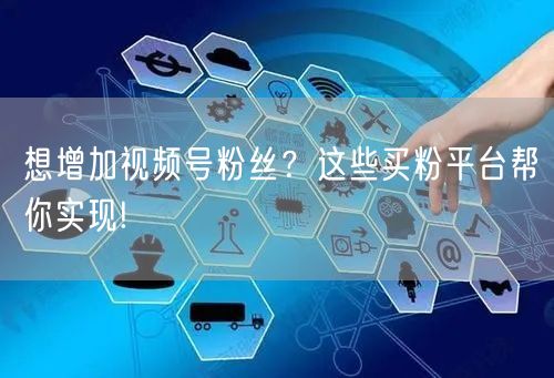 想增加视频号粉丝？这些买粉平台帮你实现!