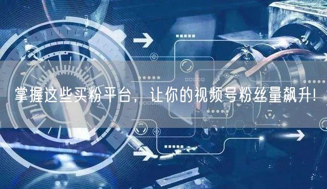 掌握这些买粉平台，让你的视频号粉丝量飙升!