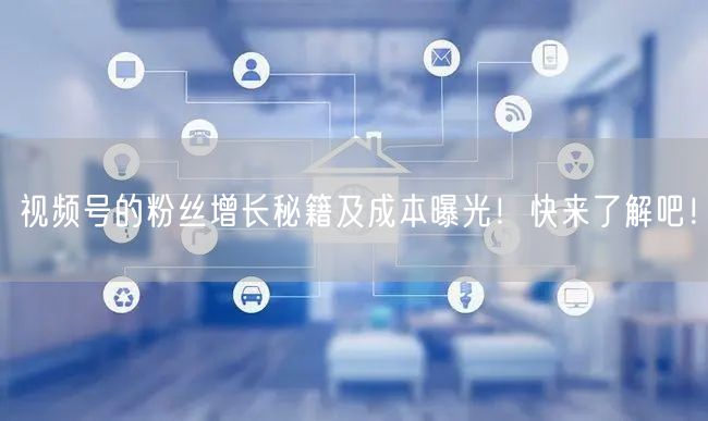 视频号的粉丝增长秘籍及成本曝光！快来了解吧！