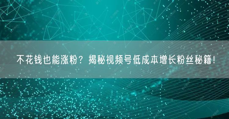 不花钱也能涨粉？揭秘视频号低成本增长粉丝秘籍！