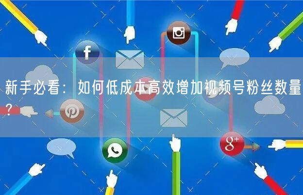 新手必看：如何低成本高效增加视频号粉丝数量？