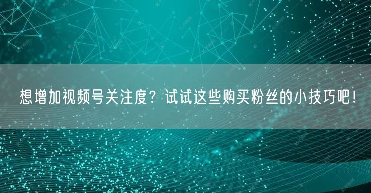 想增加视频号关注度？试试这些购买粉丝的小技巧吧！