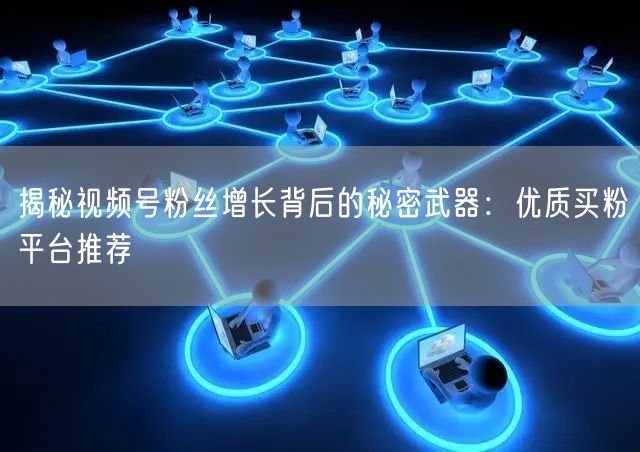 揭秘视频号粉丝增长背后的秘密武器：优质买粉平台推荐