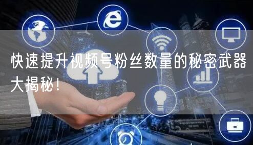 快速提升视频号粉丝数量的秘密武器大揭秘！