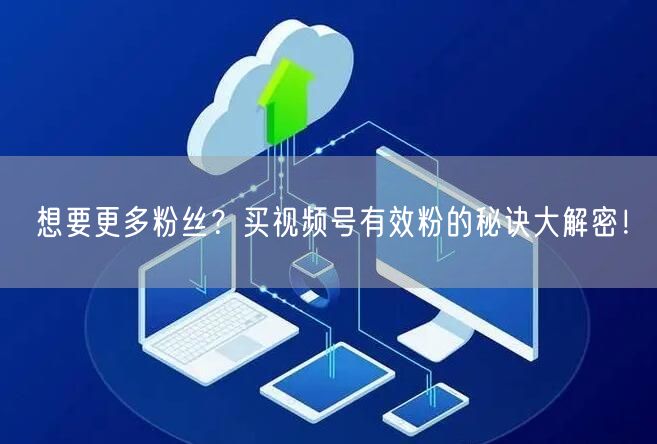 想要更多粉丝？买视频号有效粉的秘诀大解密！