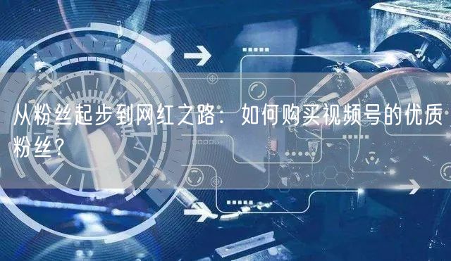 从粉丝起步到网红之路：如何购买视频号的优质粉丝？