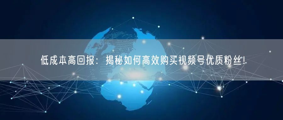 低成本高回报：揭秘如何高效购买视频号优质粉丝！