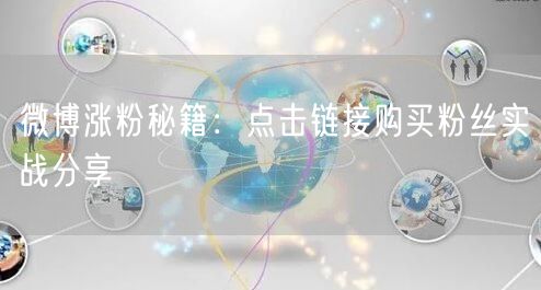 微博涨粉秘籍：点击链接购买粉丝实战分享
