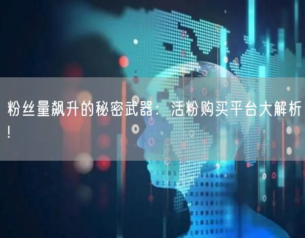 粉丝量飙升的秘密武器：活粉购买平台大解析!