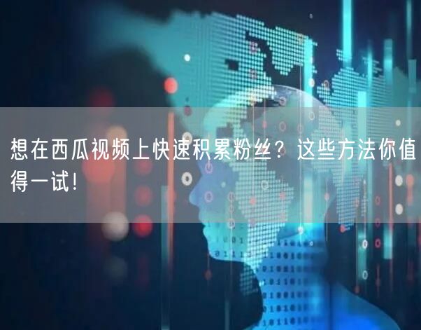 想在西瓜视频上快速积累粉丝？这些方法你值得一试！